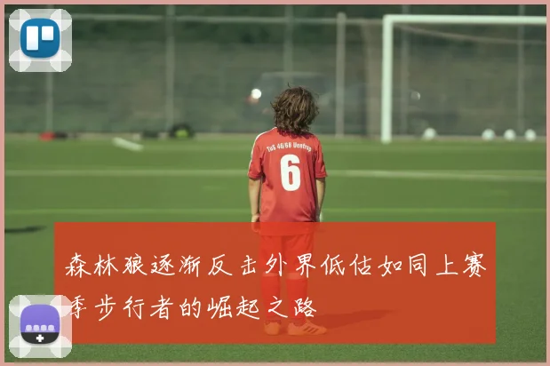 森林狼逐渐反击外界低估如同上赛季步行者的崛起之路